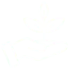 A plant on a hand symbolizing sustainability and green finance